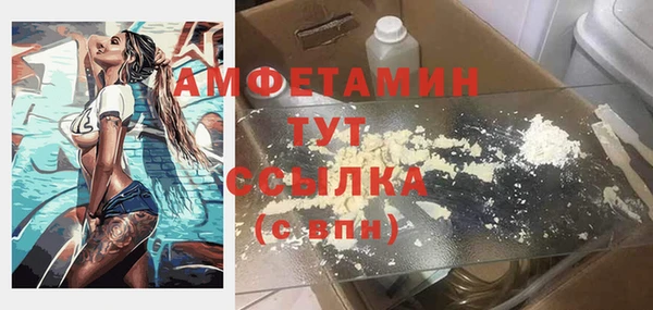 индика Майский