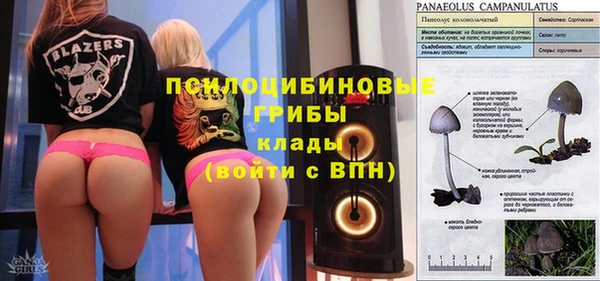 spice Медвежьегорск