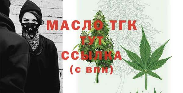 индика Майский