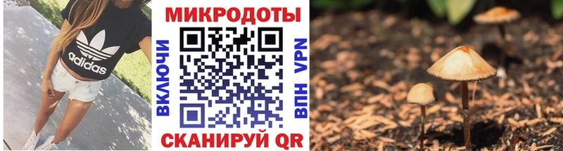 Галлюциногенные грибы GOLDEN TEACHER  Макушино 